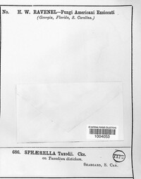 Image Associated With the Occurence